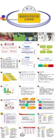 食品的化学性污染及其预防PPT课件.pptx