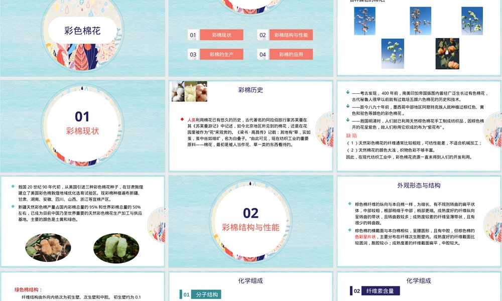 新型纺织材料彩色棉花PPT课件.pptx