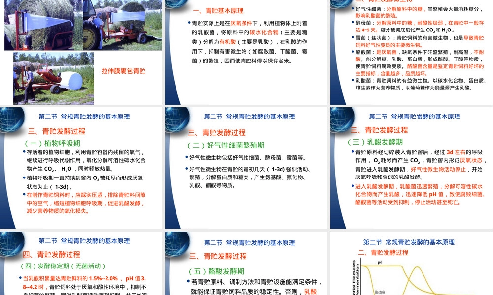 饲草青贮技术教学PPT课件.ppt