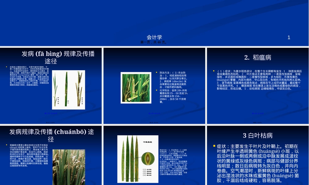 水稻病虫害及其防治技术PPT课件.pptx