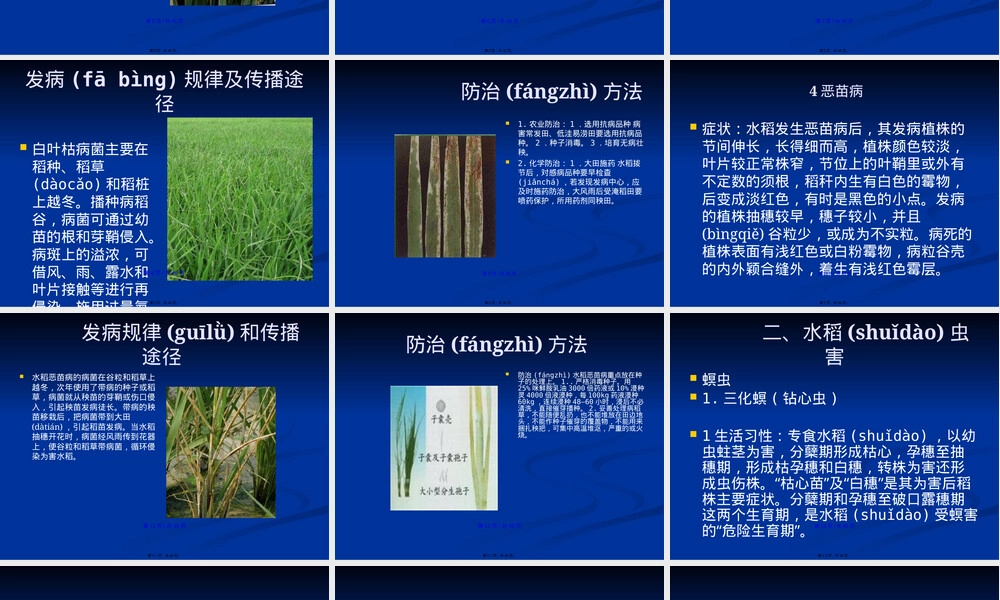 水稻病虫害及其防治技术PPT课件.pptx