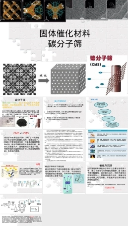 碳分子筛催化材料PPT课件.ppt