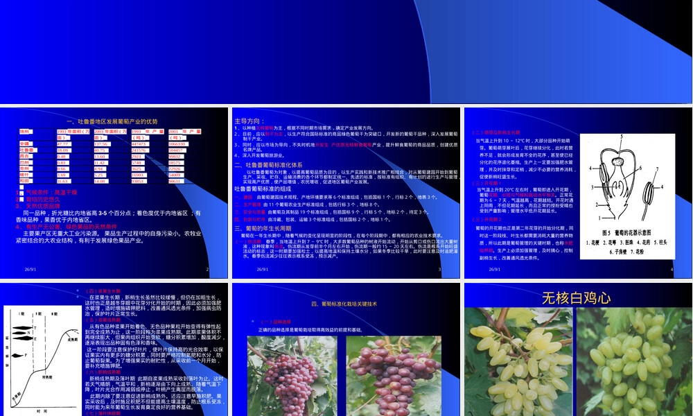 吐鲁番葡萄标准化栽培管理技术PPT课件.ppt