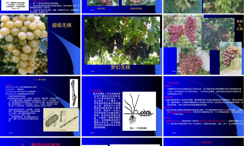 吐鲁番葡萄标准化栽培管理技术PPT课件.ppt