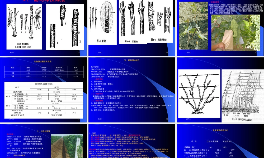 吐鲁番葡萄标准化栽培管理技术PPT课件.ppt