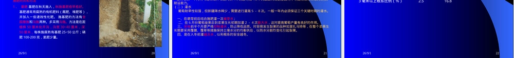 吐鲁番葡萄标准化栽培管理技术PPT课件.ppt