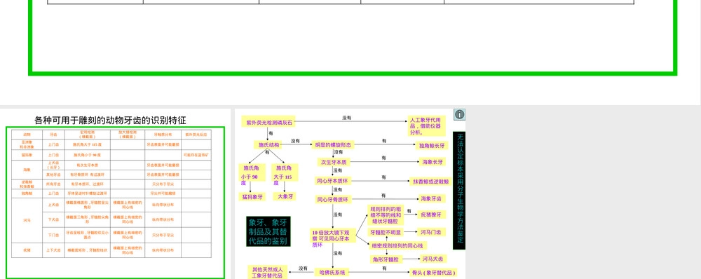 象牙及其制品鉴定PPT课件.pptx