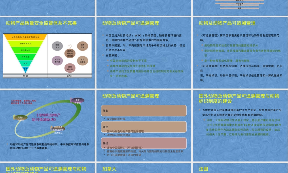 动物及动物产品可追溯管理PPT课件.pptx