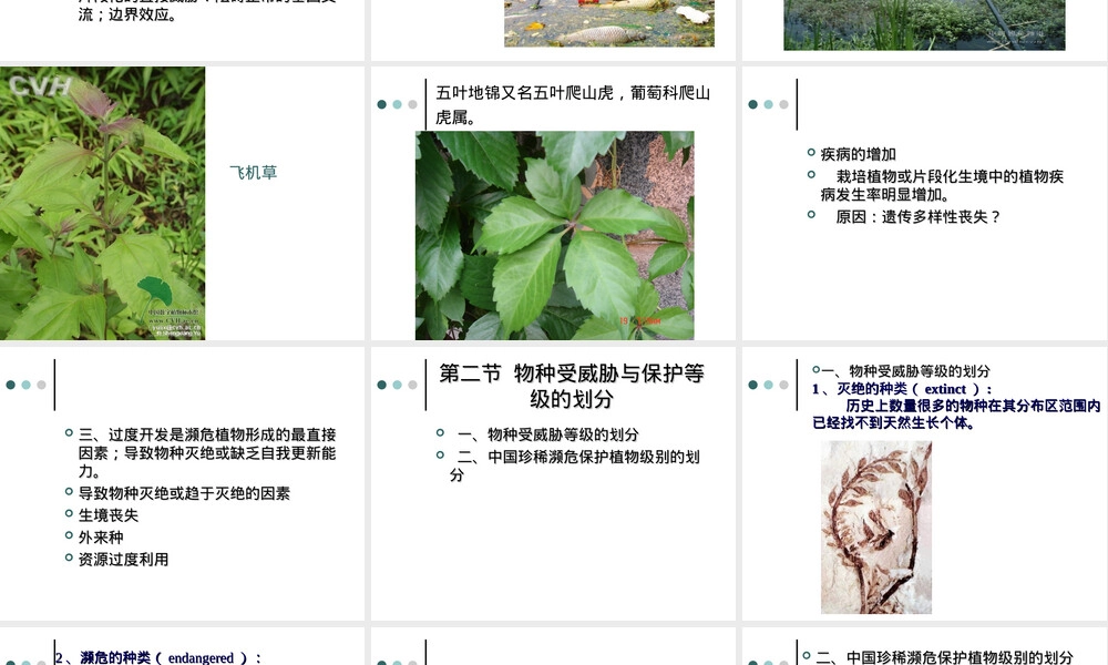 第五章植物资源保护与管理教学PPT课件.ppt