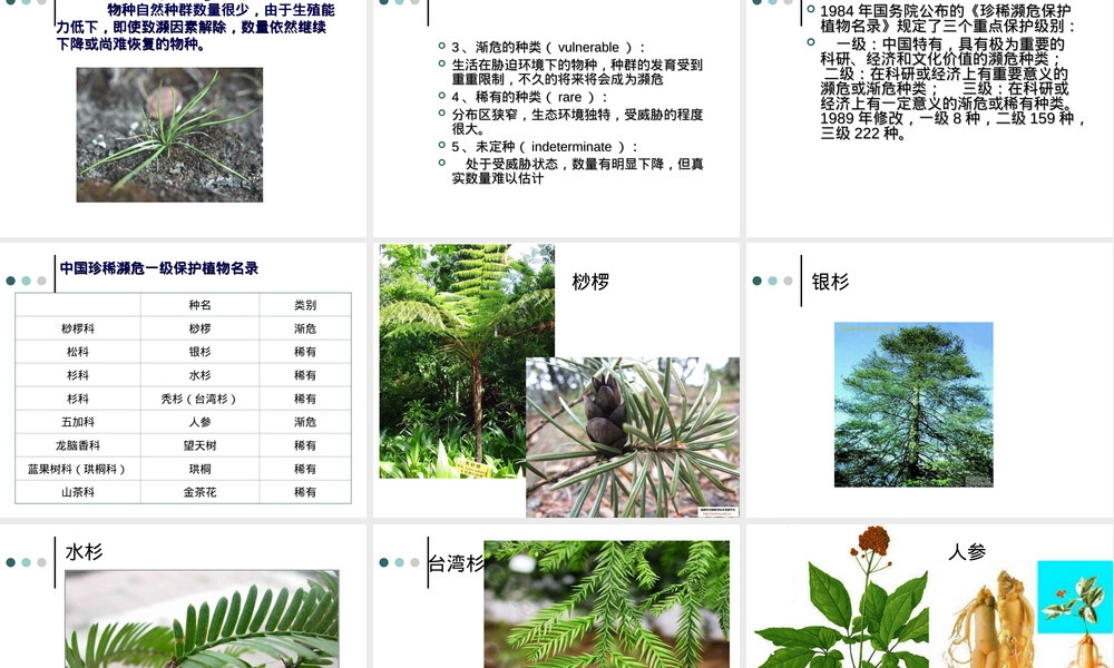 第五章植物资源保护与管理教学PPT课件.ppt