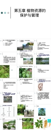 第五章植物资源保护与管理教学PPT课件.ppt