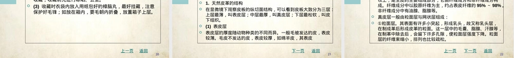 服装材料之毛皮与皮革教学PPT课件.ppt
