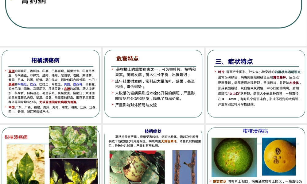 柑橘主要病害及其防治PPT课件.ppt