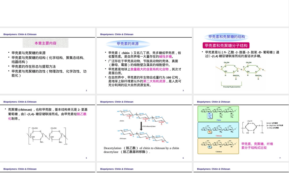 甲壳素与壳聚糖天然高分子材料PPT课件.pptx