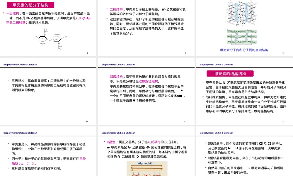 甲壳素与壳聚糖天然高分子材料PPT课件.pptx