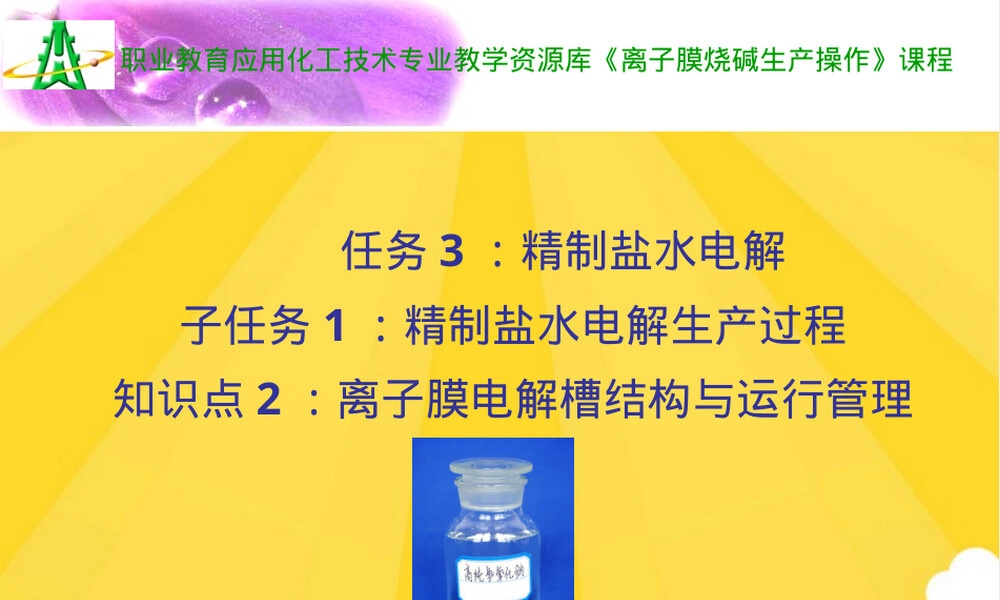 离子膜电解槽结构与运行管理教学PPT课件.ppt