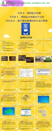 离子膜电解槽结构与运行管理教学PPT课件.ppt