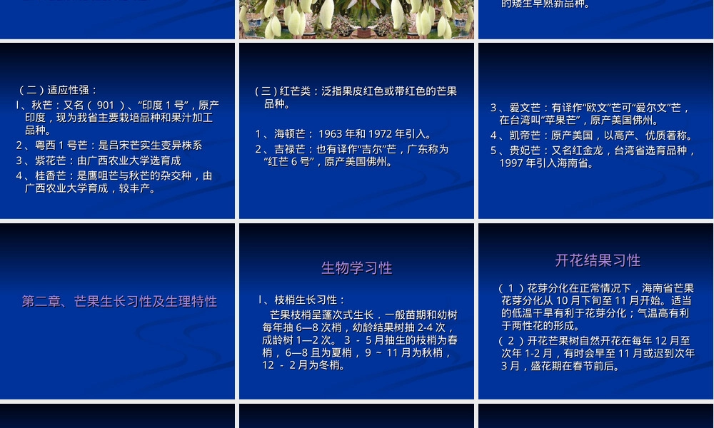 芒果种植管理技术PPT课件 副本1.ppt