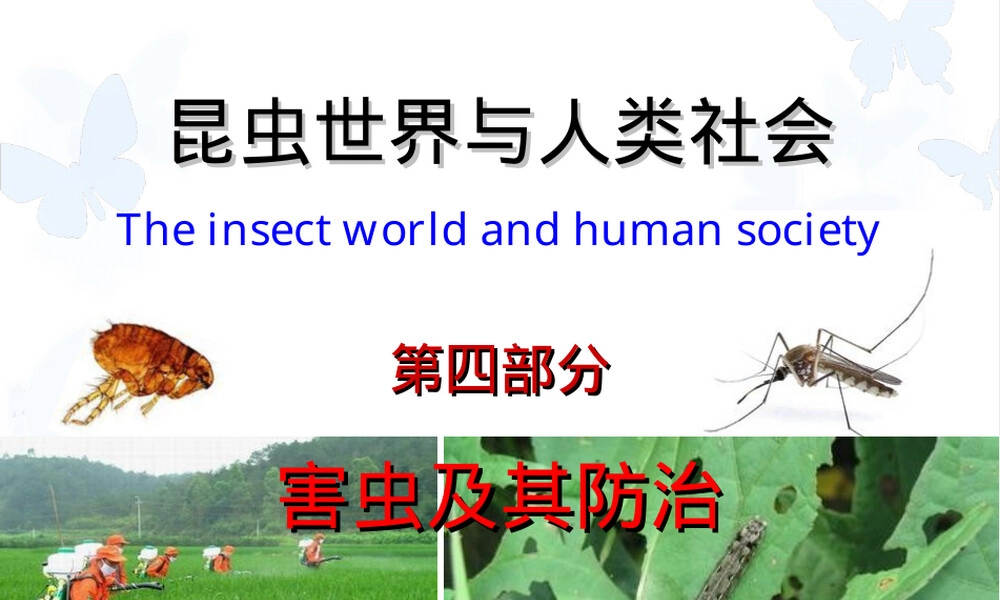 害虫及其防治教学PPT课件.ppt