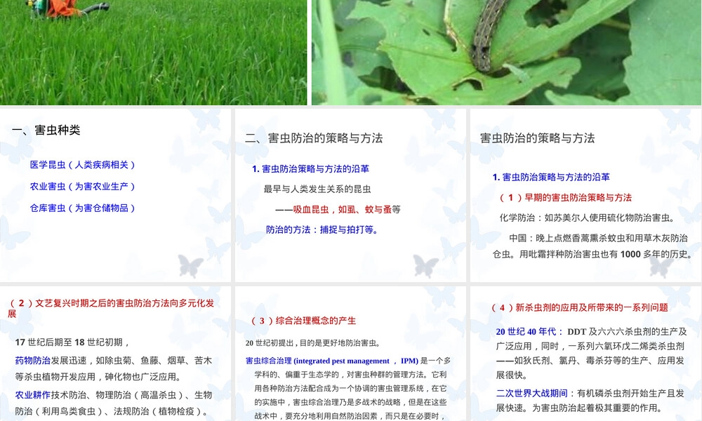 害虫及其防治教学PPT课件.ppt