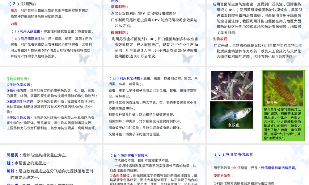 害虫及其防治教学PPT课件.ppt