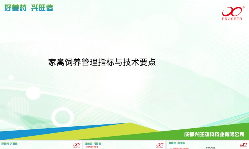 家禽饲养管理技术要点PPT课件.pptx