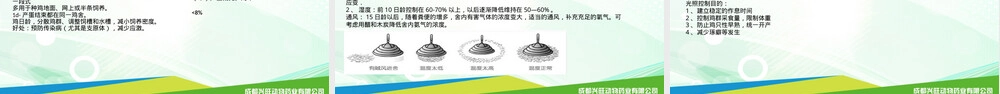 家禽饲养管理技术要点PPT课件.pptx