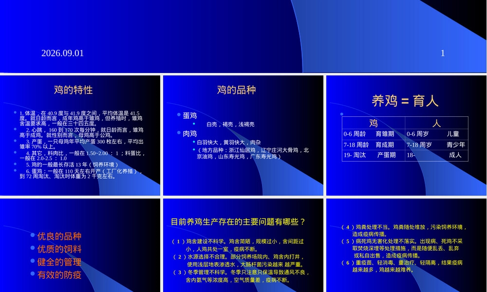 鸡饲养管理技术PPT课件.ppt