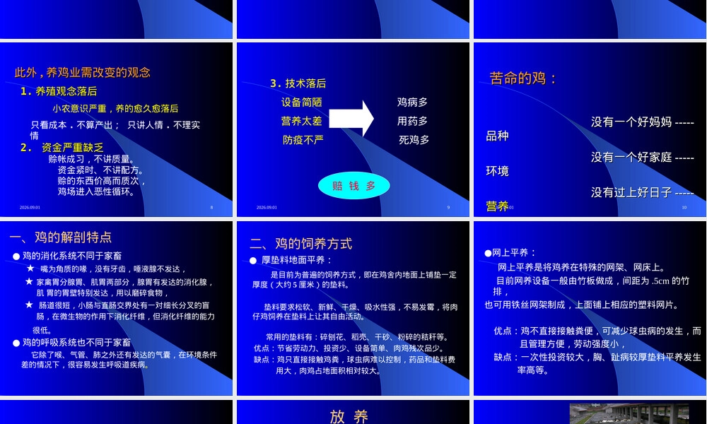鸡饲养管理技术PPT课件.ppt