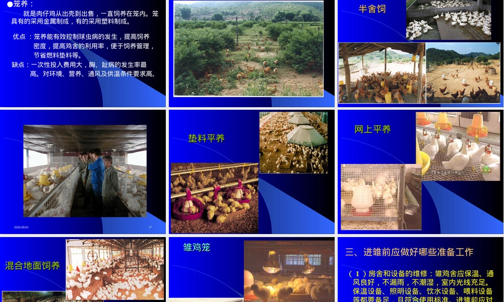 鸡饲养管理技术PPT课件.ppt