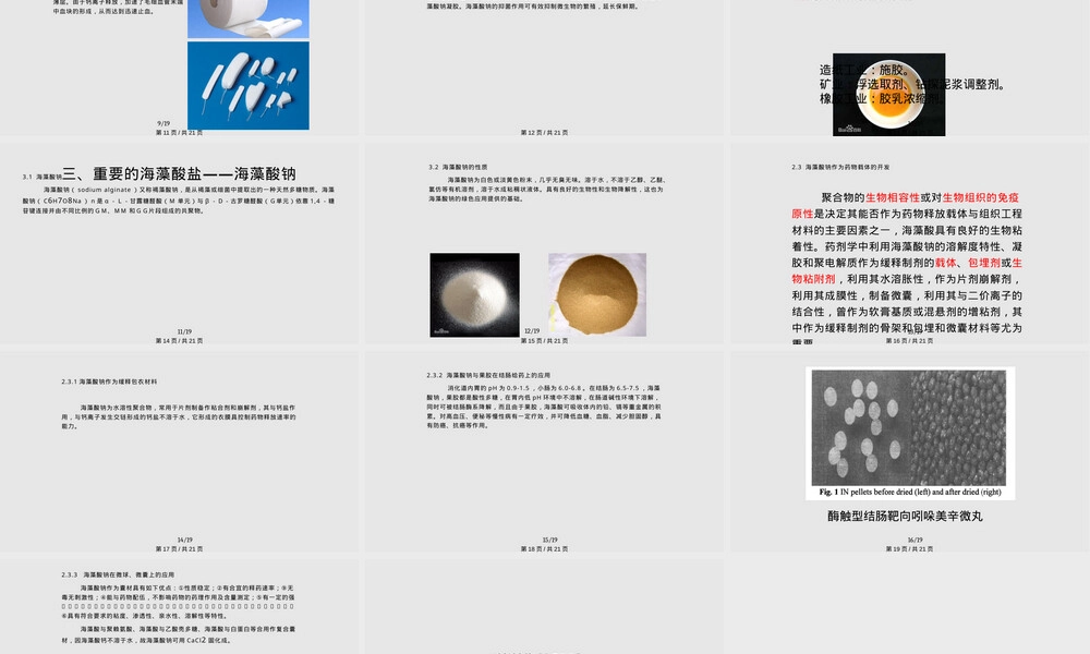 海藻酸钠高分子材料教学PPT课件.pptx