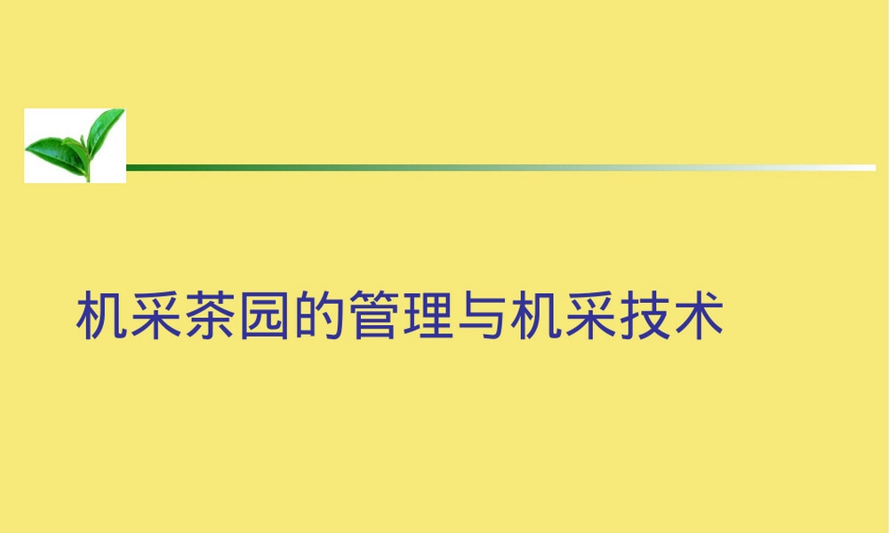 机采茶园管理与机采技术PPT课件.pptx