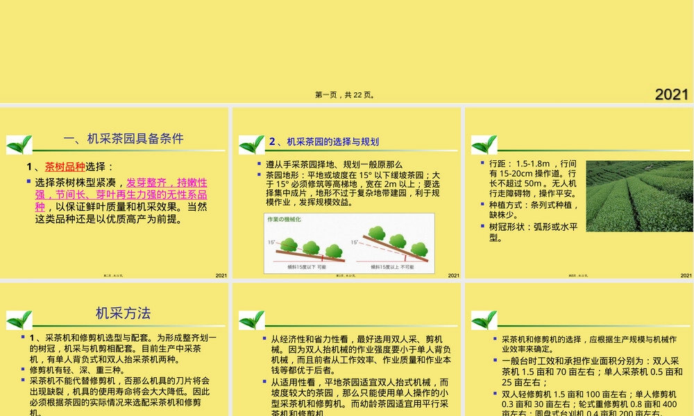 机采茶园管理与机采技术PPT课件.pptx