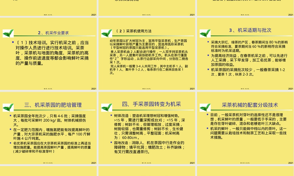 机采茶园管理与机采技术PPT课件.pptx