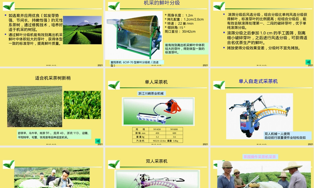 机采茶园管理与机采技术PPT课件.pptx