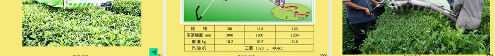 机采茶园管理与机采技术PPT课件.pptx