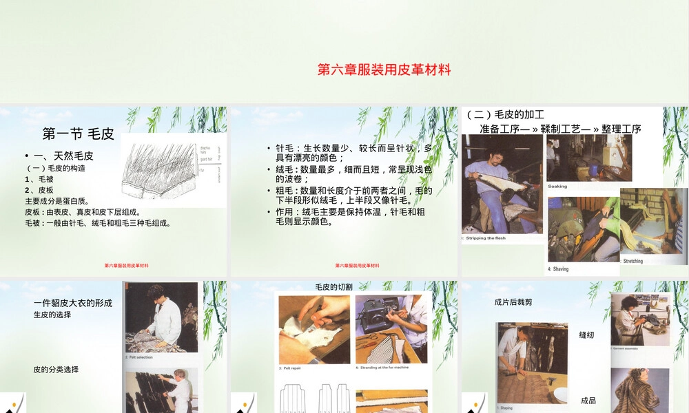 服装用皮革材料教学PPT课件.ppt