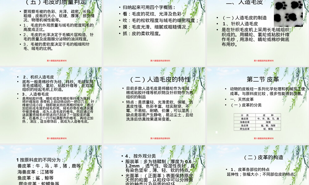 服装用皮革材料教学PPT课件.ppt