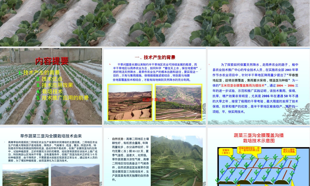 旱作蔬菜三垄沟全膜覆盖栽培技术PPT课件 副本1.ppt