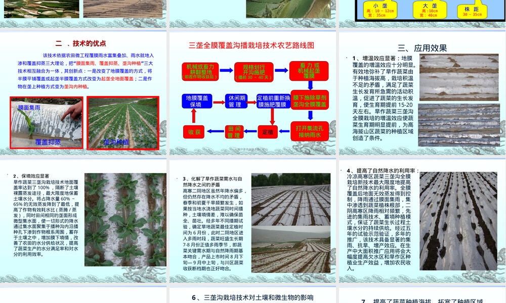 旱作蔬菜三垄沟全膜覆盖栽培技术PPT课件 副本1.ppt