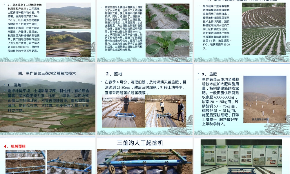 旱作蔬菜三垄沟全膜覆盖栽培技术PPT课件 副本1.ppt