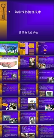 奶牛饲养管理技术培训PPT课件.ppt