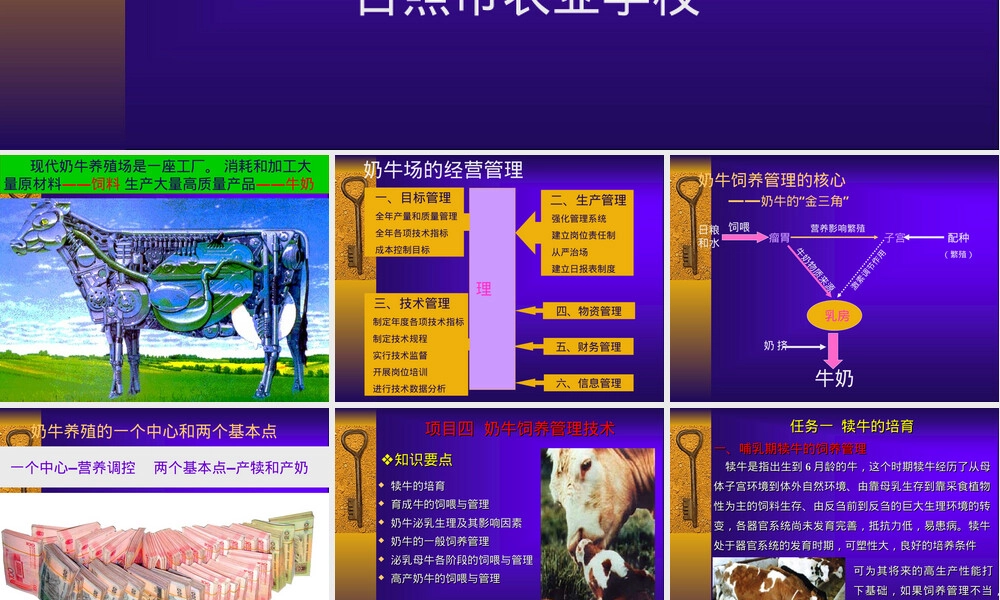 奶牛饲养管理技术培训PPT课件.ppt