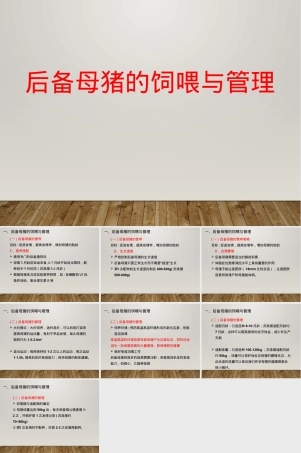后备母猪饲喂管理PPT课件.pptx