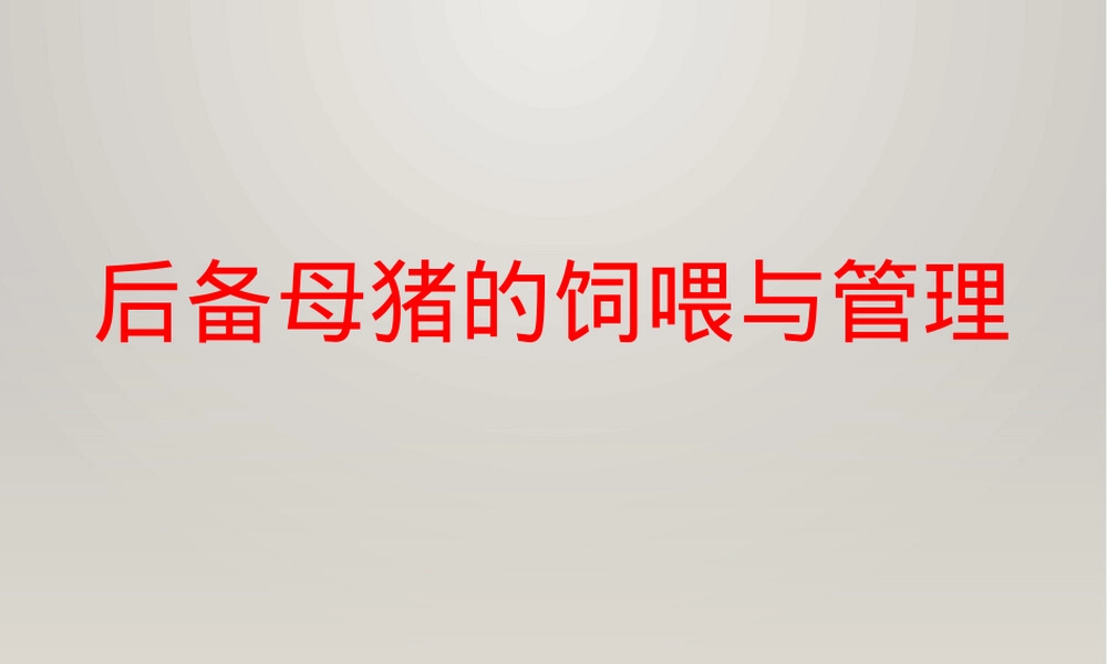 后备母猪饲喂管理PPT课件.pptx