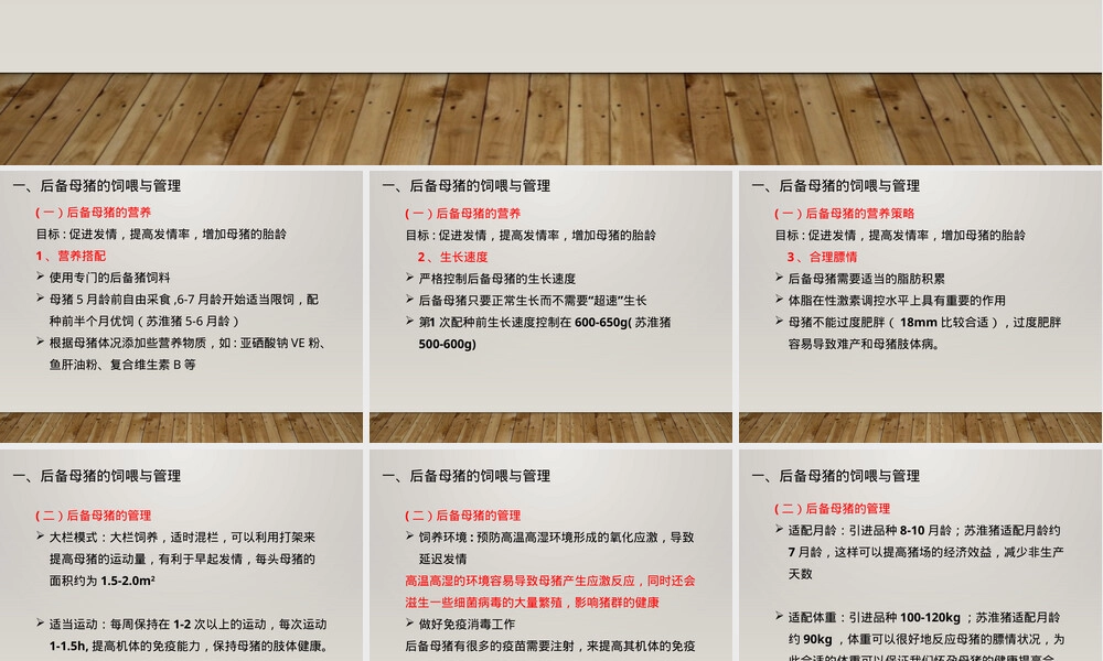 后备母猪饲喂管理PPT课件.pptx