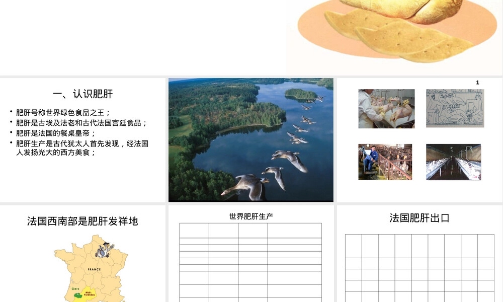 鹅肥肝及其产品介绍PPT课件.pptx