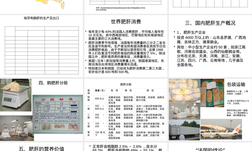 鹅肥肝及其产品介绍PPT课件.pptx