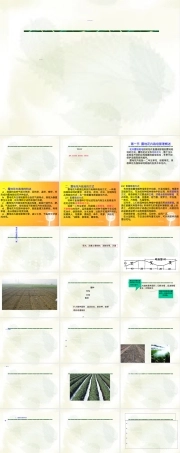 花卉露地栽培管理PPT课件.ppt