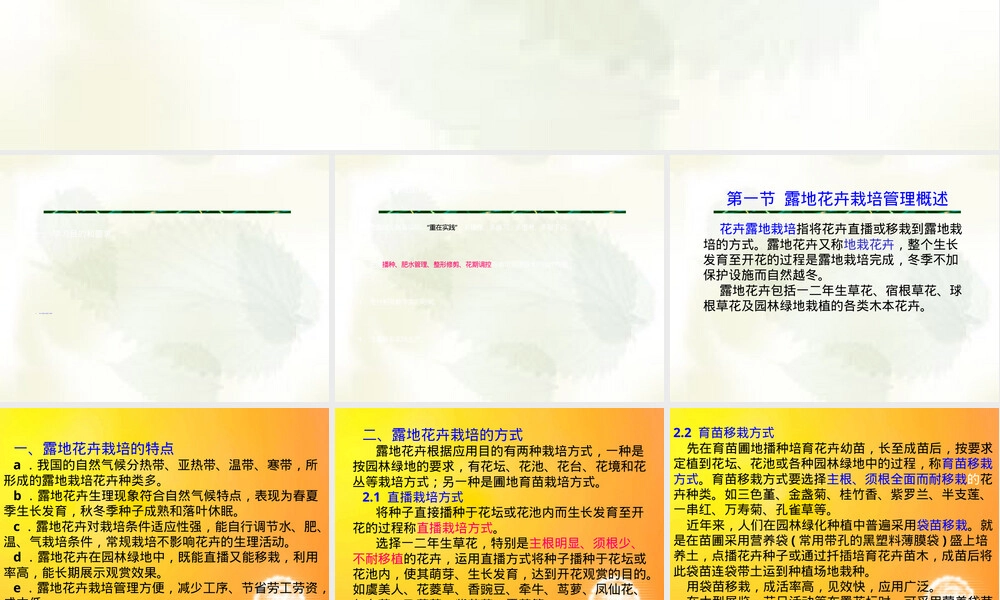 花卉露地栽培管理PPT课件.ppt